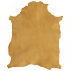 Mouton Fauve