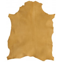 Mouton Fauve