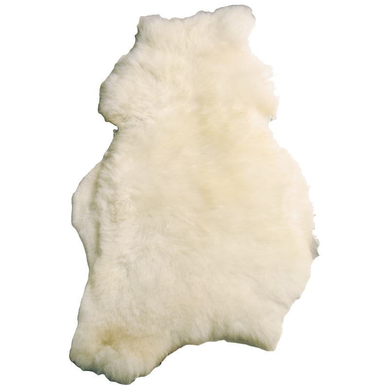 Mouton lainé